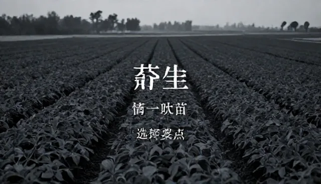 生长环境:优质种苗选择与应用分析
